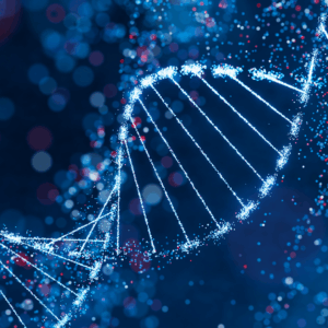 A New Year – A New DNA