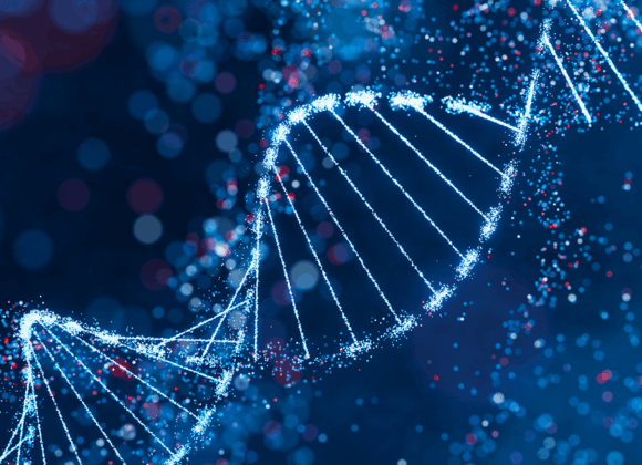 A New Year – A New DNA